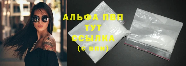 дживик Заполярный