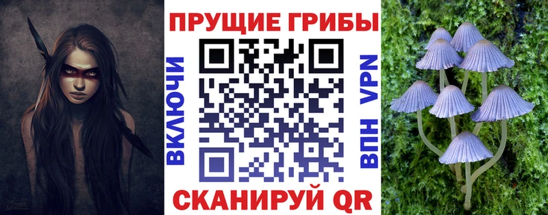 МЕГА как войти  Краснослободск  Галлюциногенные грибы Psilocybe 